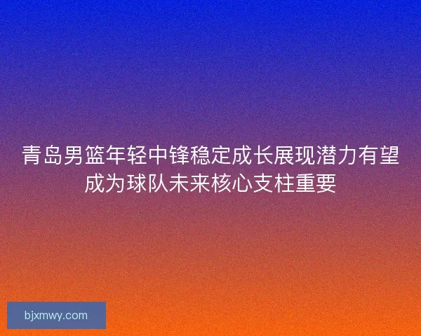 青岛男篮年轻中锋稳定成长展现潜力有望成为球队未来核心支柱重要