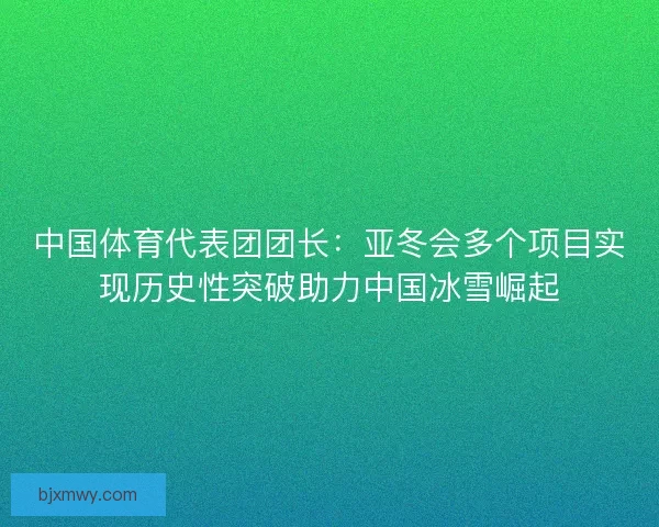 中国体育代表团团长：亚冬会多个项目实现历史性突破助力中国冰雪崛起