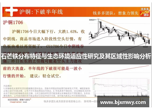 石芒铁分布特征与生态环境适应性研究及其区域性影响分析