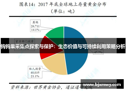 钩钩果采集点探索与保护：生态价值与可持续利用策略分析